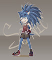 Sonic - anthrofied by Niezuri