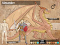 Commission - Alexander reference sheet