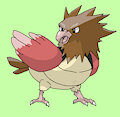 pokemon 21 spearow