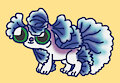 dog fish betta