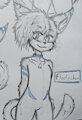 Floof Sketches