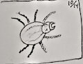 inktober 10/14 tick