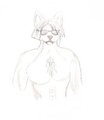 Wolf 08 