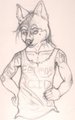 Husky Sketch WIP by baddoggie