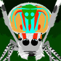 Peacock Jumper