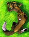 Puppy Roll by danjiisthmus