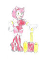 Amy Rose(hot mode)