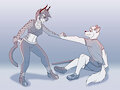 A Friendly Spar