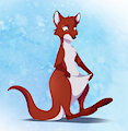Pouch of a Kangaroo