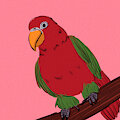chattering lory by articinna