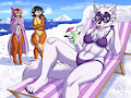 Arctic beach