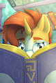 sunburst2 by aquoquoo