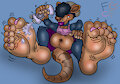 Oil dem Possum Soles