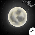 Day 10: Full Moon