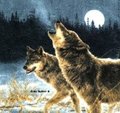 In the Old Days by CJWolf