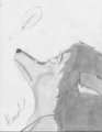Old contest. by Raust