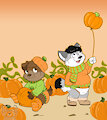 Cuties Inc. fall Catalog commercial