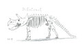 Inktober 2021 - 24. Extinct