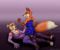Comm for Wolfblade23 - Cat and fox fight