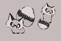 little fox