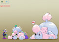 Poodle pooltoy inflation TF
