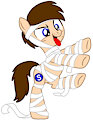 Seb the Pony dressed as a mummy for Halloween
