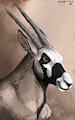 Gemsbok Speedpaint by Lizet