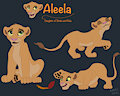 Aleela - The Broken Circle Saga by RadixPanther