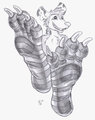 Possum toe socks by Dombrus