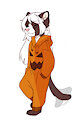 Pumpkin Track Suit