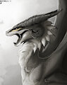 Dragon Study by Lizet