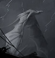 A storm approaches by Lizet