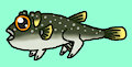 Dog fish blowfish