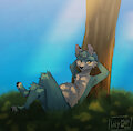 Fresh air