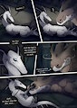 Sleeping Arrangements