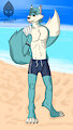 Beach by lichu246