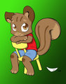 Boy squirrel