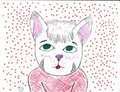Kitty kitty