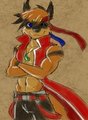 Stripes the Raccoon