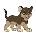 My Adopted Cub: Wayra