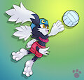 Klonoa Beach Volleyball!