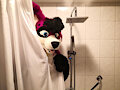 Hey! No Peeking!