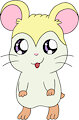 Ham ham~