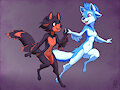 Birdy Dogs