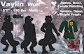 Vaylin Reference Sheet