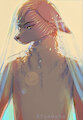 Veil