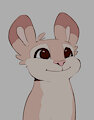 meem by skidoo