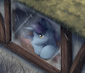 November rain
