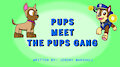 pups meet the pups gang title card