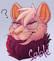 Chinchilla Headshot